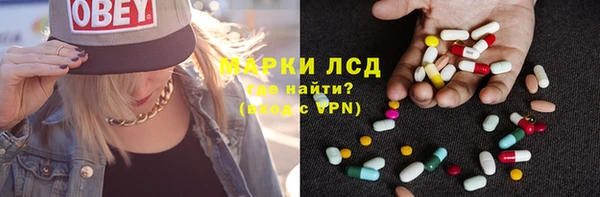 ГАЛЛЮЦИНОГЕННЫЕ ГРИБЫ Алзамай