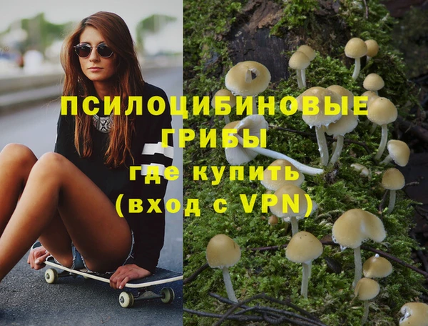 ГАЛЛЮЦИНОГЕННЫЕ ГРИБЫ Алзамай