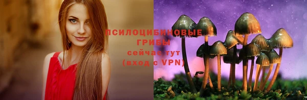 ГАЛЛЮЦИНОГЕННЫЕ ГРИБЫ Алзамай