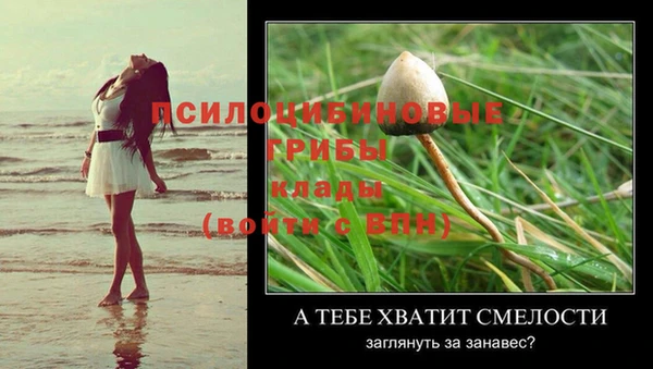 спайс Пестово