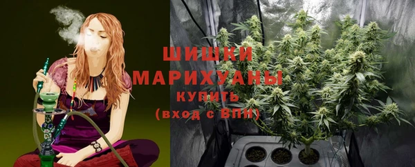 ГАЛЛЮЦИНОГЕННЫЕ ГРИБЫ Алзамай